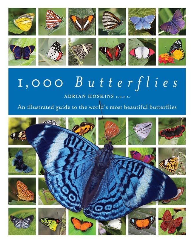 1000 Butterflies 1000 Butterflies book
