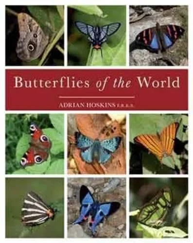 Butterflies of the World Butterflies of the World book