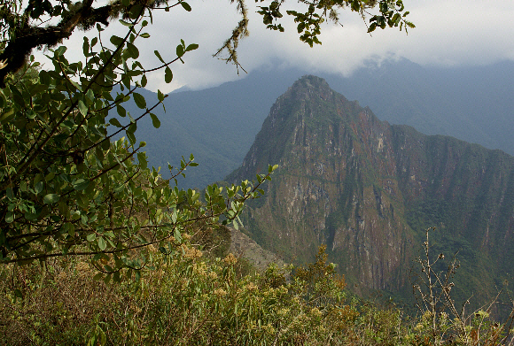 Machu%20Picchu%20003 - Learn Butterflies