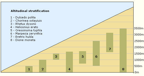 altitudinal2 - Butterflies Store