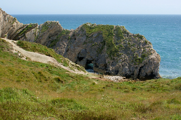 lulworth%20002a - Learn Butterflies