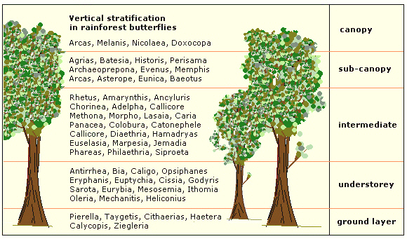 Abundance, diversity & seasonality